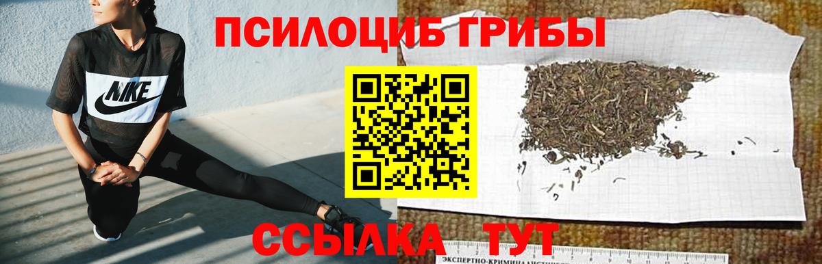 Псилоцибиновые грибы GOLDEN TEACHER  Вход с VPN  купить наркоту  Нурлат 
