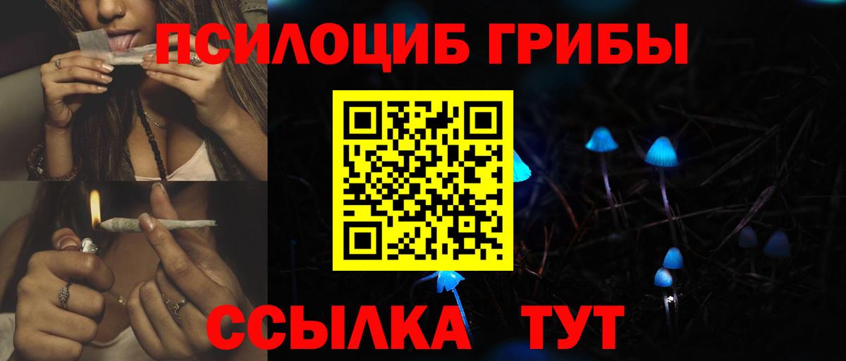 Псилоцибиновые грибы GOLDEN TEACHER Нурлат